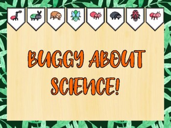Insects & Bugs Bulletin Board Kit & Door Décor, BUGGY ABOUT SCIENCE!