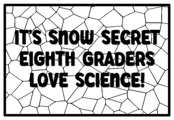 IT'S SNOW SECRET EIGHTH GRADERS LOVE SCIENCE! Summer Craftivity Eighth Grade