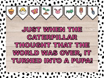 JUST WHEN THE CATERPILLAR THOUGHT THAT THE WORLD WAS OVER, IT TURNED INTO A PUPA