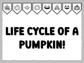 LIFE CYCLE OF A PUMPKIN! Pumpkin Bulletin Board Kit, Ready to print Pumpkin Cla
