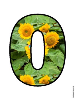 OUR SPEECH IS BLOOMING! Sunflower Bulletin Board Letters