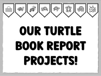 OUR TURTLE BOOK REPORT PROJECTS! Turtle Bulletin Board Kit