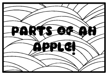PARTS OF AN APPLE! Fall Apple Activity, Apples Coloring Pages, Autumn
