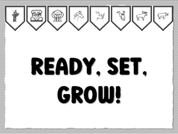 READY, SET, GROW! Jungle Bulletin Board Kit