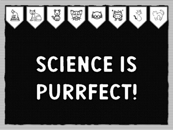 SCIENCE IS PURRFECT! Cat Theme Bulletin Board Kit, Door Décor, Cat Coloring Pag