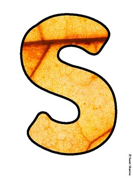SHADES OF FALL! Fall Leaves Bulletin Board Letters