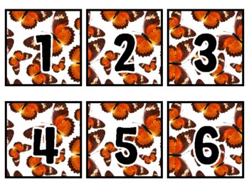 Spring, Bugs, Butterflies Classroom Calendar Set