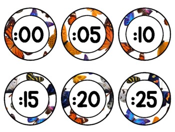 Spring, Bugs, Butterflies Clock Labels for Telling Time #70Sheet Size: 8.5