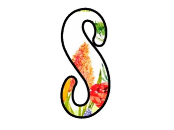 SPRING INTO THE RAINFOREST! Spring Bulletin Board Letters