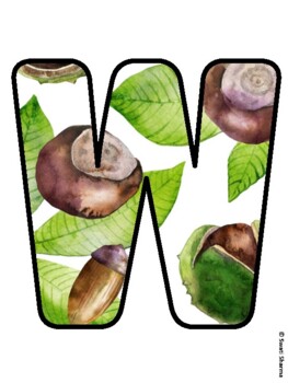 WE ARE NUTS ABOUT SPANISH! Nuts Bulletin Board Letters