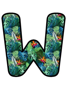 WE'RE WILD ABOUT HISTORY! Tropical Bulletin Board Decor