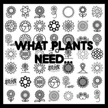 WHAT PLANTS NEED... Sunflower Bulletin Board Activity 3x3 feet