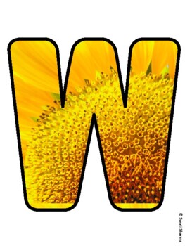 WHEN WE LEARN WE GROW! Sunflower Bulletin Board Letters