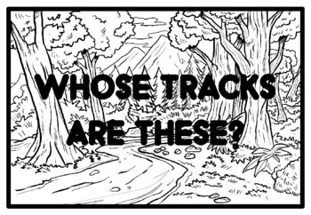 WHOSE TRACKS ARE THESE?, Animals Activity, Animals Coloring Pages