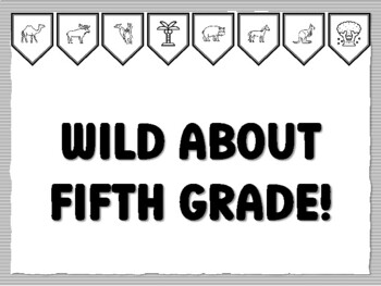 WILD ABOUT FIFTH GRADE! Jungle Bulletin Board Kit