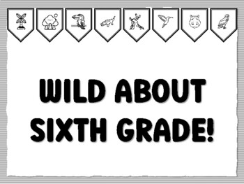 WILD ABOUT SIXTH GRADE! Jungle Bulletin Board Kit