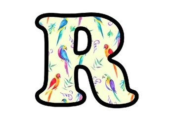 Parrot Theme Letters, Numbers and Symbols, Tropical, Rainforest, Spring Decor