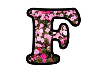 Pink Flowers, Bulletin Board Letters, Numbers and Symbols, Spring Alphabet Decor