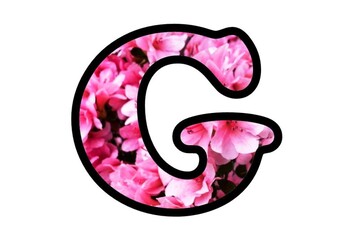 Pink Flowers, Bulletin Board Letters Numbers Symbols, Spring Garden Class Decor