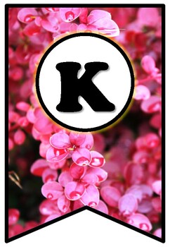 Pink Leaves, Pennant Banner Bulletin Board Letters, Fall, Spring Leaves Decor
