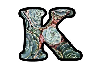 Succulents, Bulletin Board Letters Numbers & Symbols, Spring Plants Class Decor