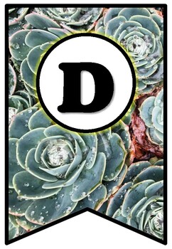 Succulents, Plants, Pennant Banner Bulletin Board Letters, Spring Alphabet Decor