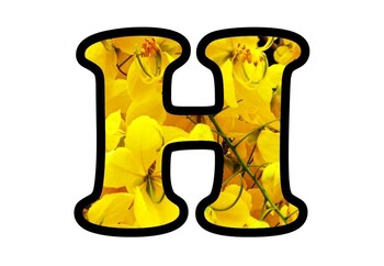 Yellow Flower Bulletin Board Letters Numbers & Symbols, Amaltas Flower Alphabhet