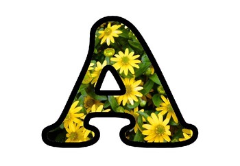 Yellow Flowers Bulletin Board Letters, Numbers, Symbols, Spring Alphabets
