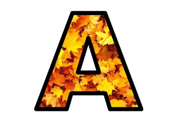 Fall, Maple Leaves, Canada, Bulletin Board Letters, Classroom Decor